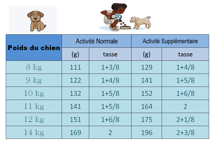 Quelle Quantité De Nourriture Pour Mon Bébé Bouledogue Français ?