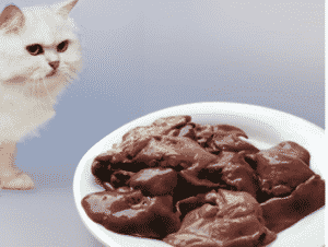 Quelle Nourriture est du Poison Pour les Chats