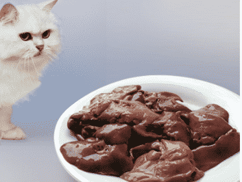 Quelle Nourriture est du Poison Pour les Chats 