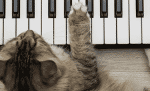 Est-ce que les Chats Aiment la Musique