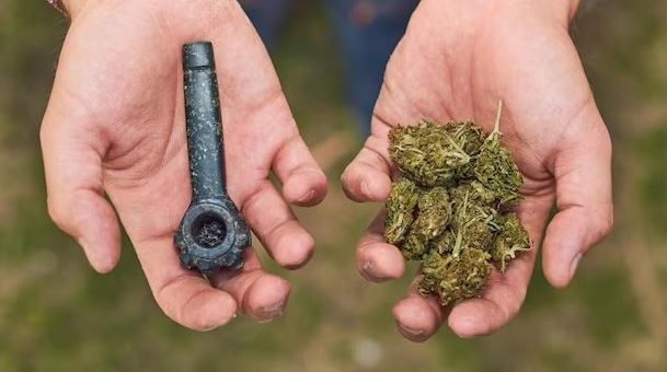 Optimiser l'Expérience du Cannabis